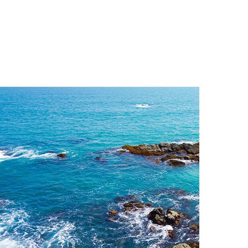 海岸清洁