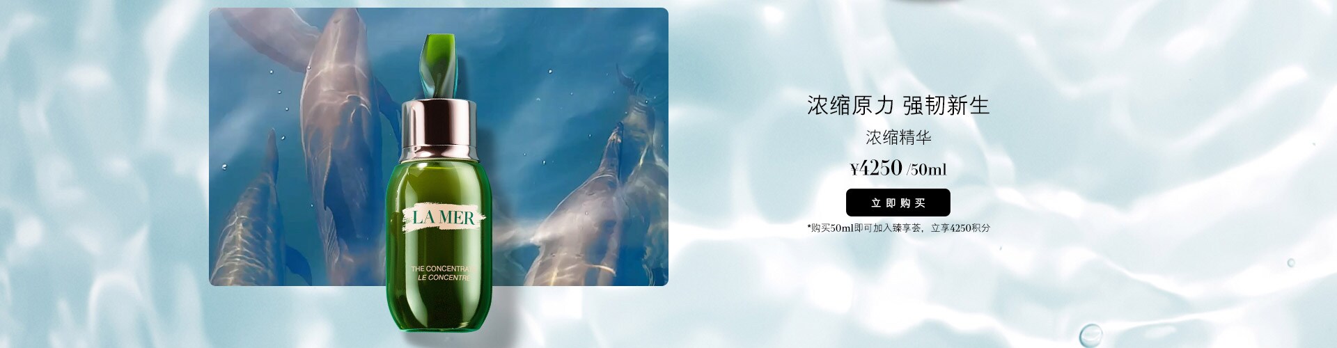 浓缩精华： 浓缩原力 强韧新生