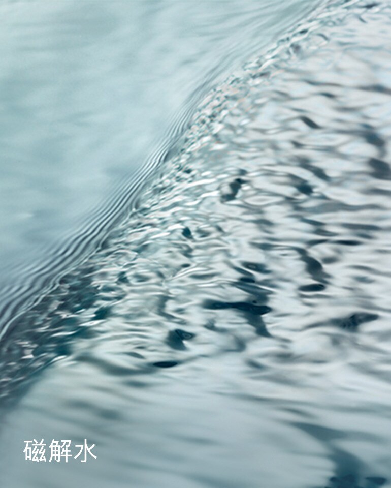 THE OIL ABSORBING TONIC