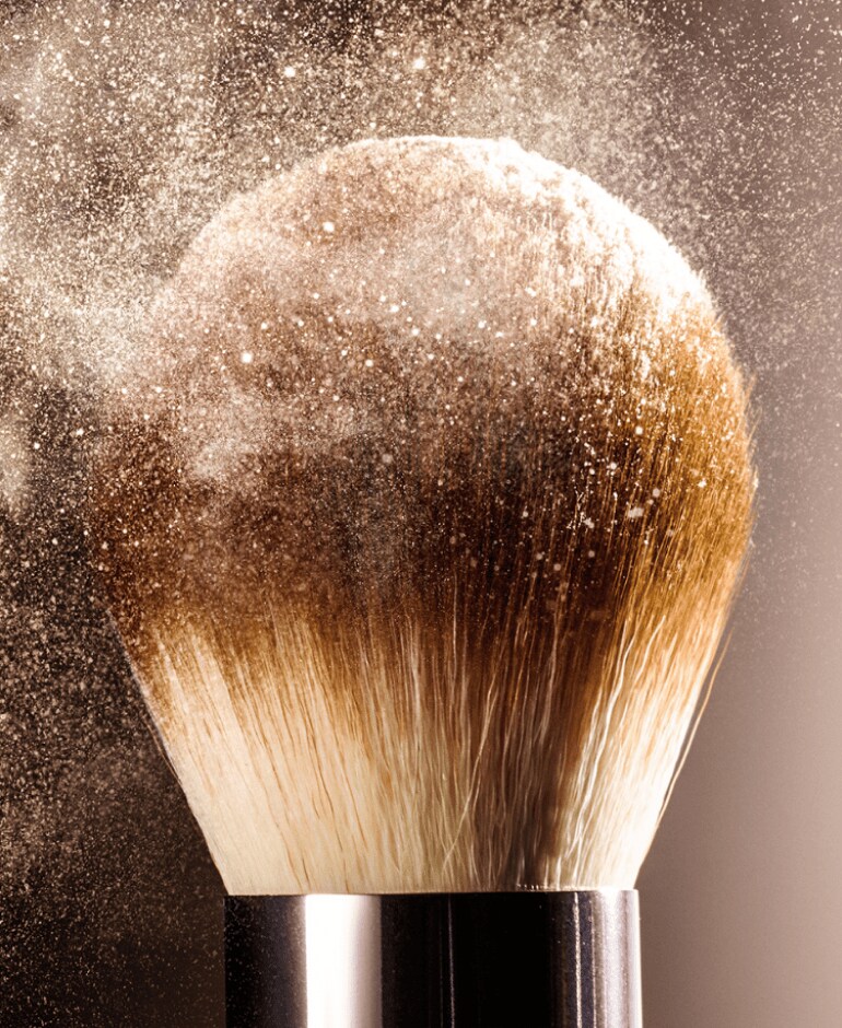 THE POWDER BRUSH