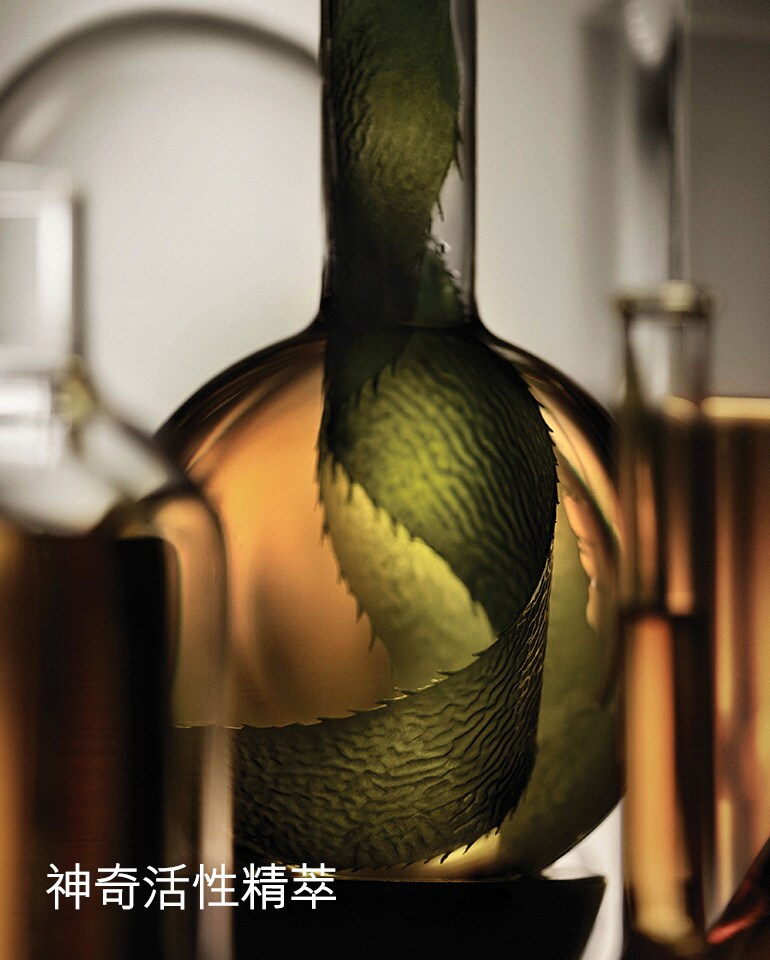 THE REPARATIVE BODY LOTION